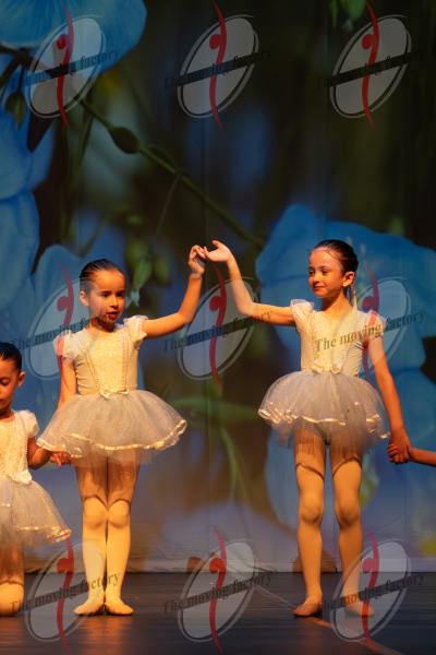 SHOW_00378.jpg